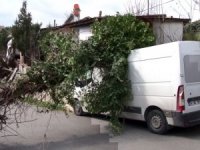 İstahbul’da Fırtına: Elektrik Direği Minibüsün Üzerine Devrildi