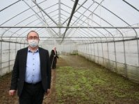Artvin’de Yerel Ata Tohumları Korunuyor