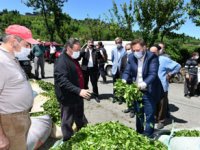 Milletvekili Avcı ve ÇAYKUR Genel Müdür Vekili Alim Müstahsille Buluştu