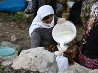 Şırnak’ta Berivanların Zorlu Mesaisi Başladı