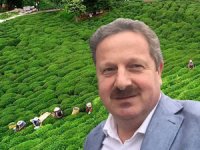 DKİB Başkan Yardımcısı Turgut: "Çay İhracatı 2020'ye Rekor Artışla Başladı"