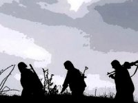 Tunceli’de 3 Terörist Etkisiz Hale Getirildi