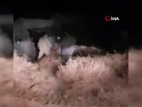 Umh Güçleri Ayn Zara Ve Vadi Er-rabi Bölgelerin Kontrolünü Ele Geçirdi
