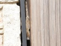 Bodrum’da Lüks Siteye Giren Domuz Sürüsünü Ortalığı Birbirine Kattı