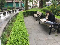 Rize’de Günün En Güzel Karesi