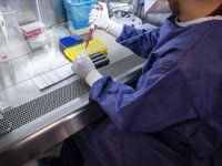 PCR testi şartı arayan ülkelere gidecekler ücretli test yaptırabilecek