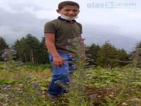 Rize'de 11 Yaşında Çocuk Kayboldu