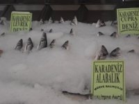 Korona Virüs Balık Satışlarını Artırdı, En Çok Levrek Ve Çipura Tüketiliyor