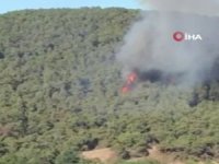 Heybeliada’da Ormanlık Alanda Çıkan Yangın Kontrol Altına Alındı