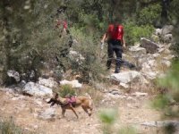 Köpeğin Getirdiği İnsan Kafatası Polisi Alarma Geçirdi