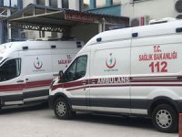 Rize'de Geri Manevra Yapan Kamyonet Yamaçtan Yuvarlandı: 3 Yaralı