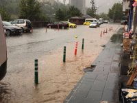Artvin'de sağanak etkili oldu