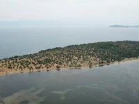 Hülya Avşar’ın Ada Satın Alacağı Yalanlandı