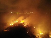 Pendik’te Korkutan Orman Yangını