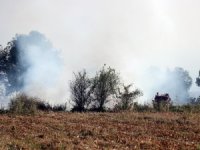 Sakarya’da Anız Yangını Dumanları Şehri Kapladı