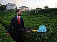 Saadet Partisi Konya Milletvekili Karaduman: Çay Kanunu Hazırlığı İçerisindeyiz