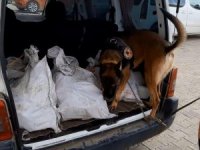 Van Polisi Kamyonete 102 Kilo Eroin Ele Geçirdi