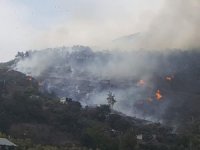 Adana’daki Orman Yangınına Müdahale Sürüyor