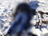 İran Sınırında Donmuş Erkek Cesedi Bulundu