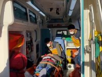 Pendik’te Feci Kaza: Freni Boşalan Otobüs Tıra Çarptı