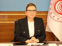 Ticaret Bakanı Pekcan, Kktc Meclis Başkanı Sennaroğlu İle Görüştü