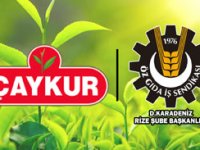 Öz Gıda-İş Sendikası Doğu Karadeniz Rize Şube Başkanlığı: ÇAYKUR Mevsimlik İşçi Kurası Adil ve Hakkaniyetli Bir Şekilde Gerçekleştirildi