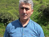 Çay Üreticileri Dayanışma Derneği’nin Yaş Çay Taban Fiyatı Beklentisi 4 Lira 45 Kuruş