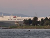 Tuzla’da Karaya Oturan Gemi Kurtarılmayı Bekliyor