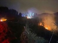 Rize'de Çıkan Orman Yangını Söndürüldü