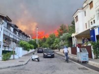 Marmaris’teki Yangında Bir Kişi Hayatını Kaybetti