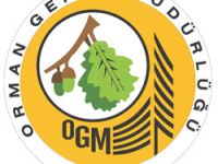 95 Orman Muhafaza Memuru alınacak