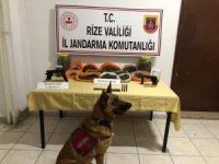Rize'de jandarma ekiplerince son bir ayda 10,5 kilo esrar ele geçirildi