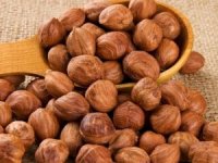 Fındık İhracatı Geçen Yıla Göre Arttı