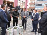 Türkeli’de Salep Fidesi Ve Yonca Tohumu Dağıtıldı