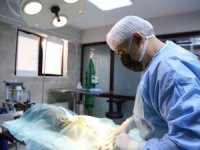 Ağır Yaralanan Köpek İçin İ̇tfaiye Ekipleri Seferber Oldu