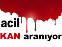 Rize'de Acil Kan Aranıyor
