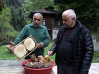 Coğrafi İşaretle İlk Kez Satılacak Ayder Balında Üretim Mesaisi Başladı