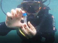 Karadeniz kıyısında 23 istasyonda deniz suyundaki mikroplastik kirlilik araştırıldı