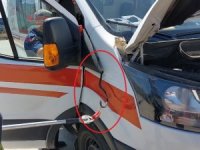 Ambulansa Yılan Girdi