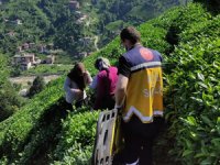 Rize’de Yamaçtaki Çay Bahçesinden Yuvarlanan Şahıs Sedye İle 400 Metre Taşınarak Hastaneye Sevk Edildi