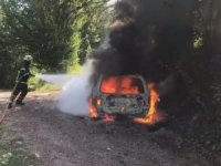 Park Halindeki Otomobil Alev Alev Yandı