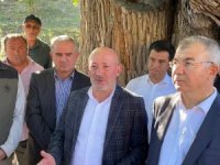 Artvin’de Bulunan Dünyanın En Yaşlı Armut Ağacında Meyve Hasadı Yapıldı