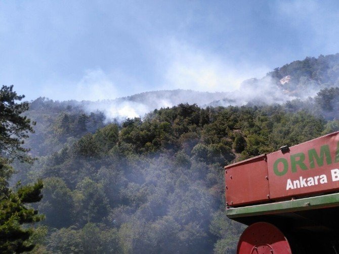 Kızılcahamam'da Yangın ile ilgili görsel sonucu