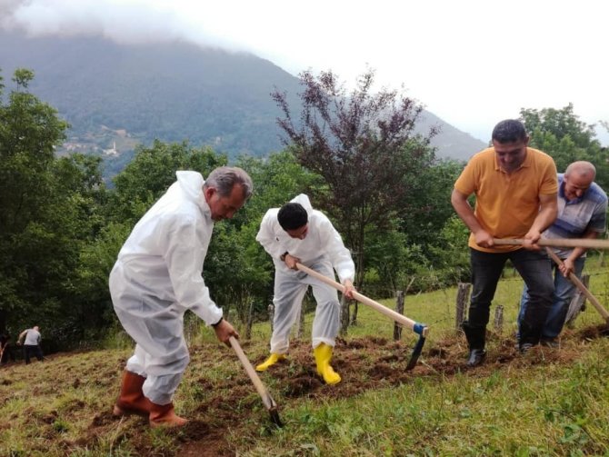 Kaymakam Ve Belediye Başkanı Kazmayı Eline Aldı, Tarlaya Girdi