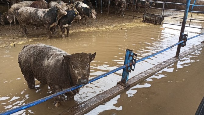 3 Bin Dönüm Tarım Arazisi Hırsızlar Yüzünden Sel Suları Altında Kaldı