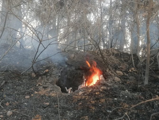 Bursa’da Orman Yangını Kontrol Altına Alındı