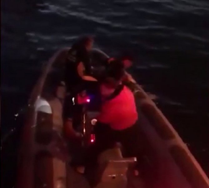 Kadıköy’de Balıkçı Misinasına Takılan 2 Martı Kurtarıldı