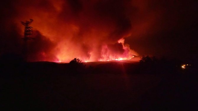 Ankara’da Orman Yangını