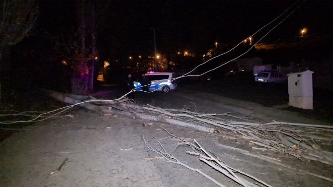 Karabük’te Fırtınada Ağaçlar Devrildi, Elektrik Telleri Koptu