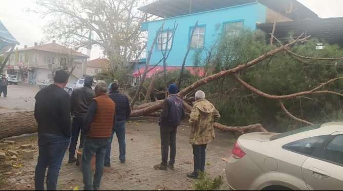 Alaşehir’de Fırtına Çam Ağacını Otomobilin Üzerine Devirdi